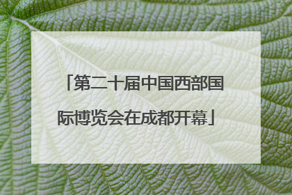 第二十届中国西部国际博览会在成都开幕