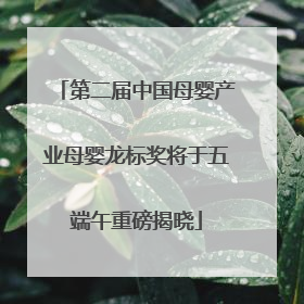 第二届中国母婴产业母婴龙标奖将于五端午重磅揭晓