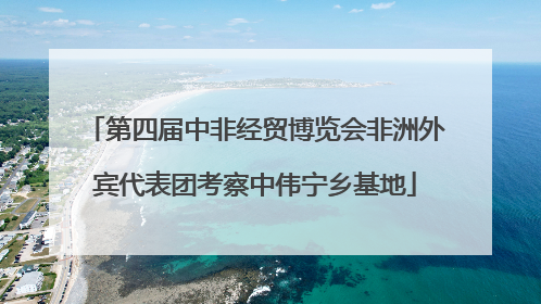 第四届中非经贸博览会非洲外宾代表团考察中伟宁乡基地
