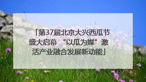 第37届北京大兴西瓜节盛大启幕 “以瓜为媒”激活产业融合发展新动能