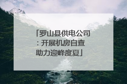 罗山县供电公司：开展机房自查 助力迎峰度夏