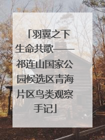 羽翼之下 生命共歌——祁连山国家公园候选区青海片区鸟类观察手记