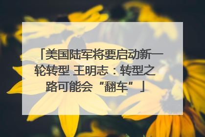 美国陆军将要启动新一轮转型 王明志：转型之路可能会“翻车”