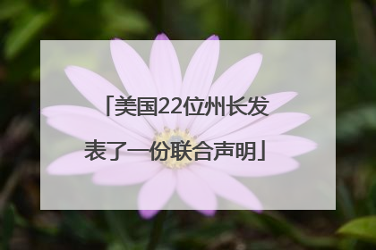 美国22位州长发表了一份联合声明