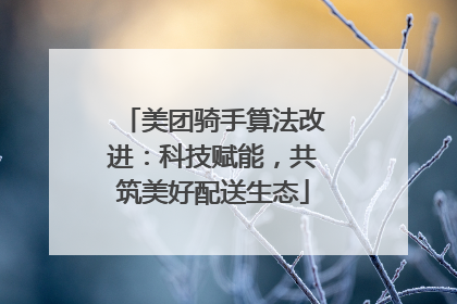 美团骑手算法改进：科技赋能，共筑美好配送生态
