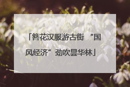 簪花汉服游古街 “国风经济”劲吹昙华林