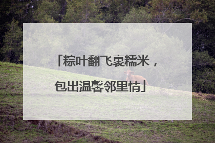 粽叶翻飞裹糯米，包出温馨邻里情
