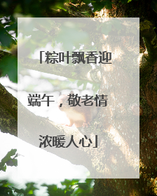 粽叶飘香迎端午，敬老情浓暖人心