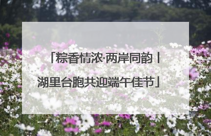 粽香情浓·两岸同韵丨湖里台胞共迎端午佳节