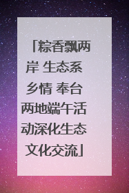 粽香飘两岸 生态系乡情 奉台两地端午活动深化生态文化交流