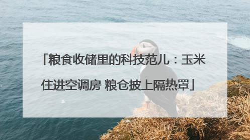 粮食收储里的科技范儿：玉米住进空调房 粮仓披上隔热罩