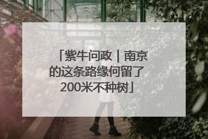 紫牛问政｜南京的这条路缘何留了200米不种树