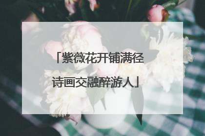 紫薇花开铺满径 诗画交融醉游人