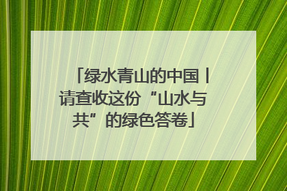 绿水青山的中国丨请查收这份“山水与共”的绿色答卷