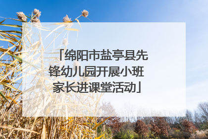 绵阳市盐亭县先锋幼儿园开展小班家长进课堂活动