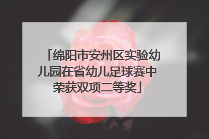 绵阳市安州区实验幼儿园在省幼儿足球赛中荣获双项二等奖