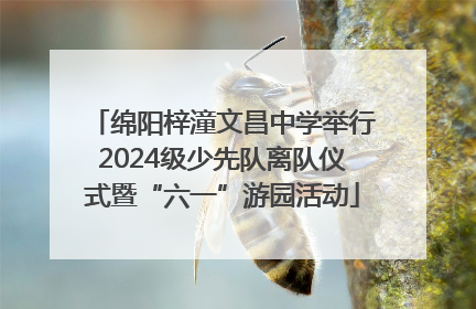 绵阳梓潼文昌中学举行2024级少先队离队仪式暨“六一”游园活动