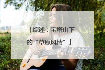 综述：宝塔山下的“草原风情”