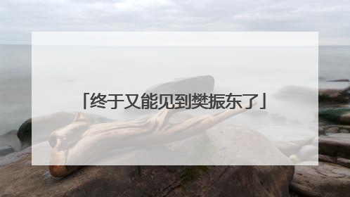终于又能见到樊振东了