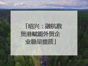 绍兴：融杭数贸港赋能外贸企业稳量提质