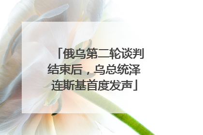 俄乌第二轮谈判结束后，乌总统泽连斯基首度发声