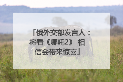 俄外交部发言人：将看《哪吒2》 相信会带来惊喜