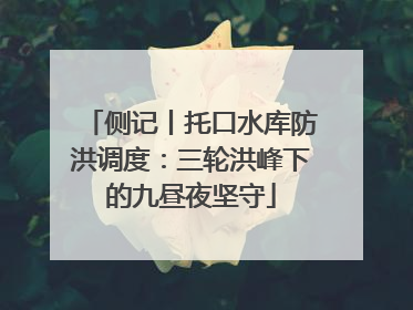 侧记丨托口水库防洪调度：三轮洪峰下的九昼夜坚守