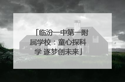 临汾一中第一附属学校：童心探科学 逐梦创未来