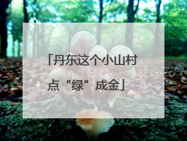 丹东这个小山村点“绿”成金
