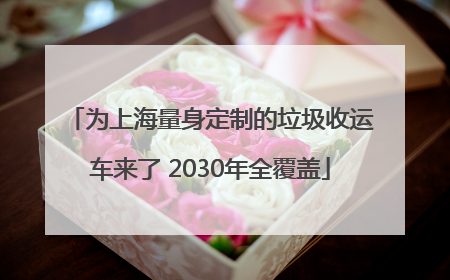 为上海量身定制的垃圾收运车来了 2030年全覆盖