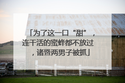 为了这一口“甜”，连干活的蜜蜂都不放过，诸暨两男子被抓