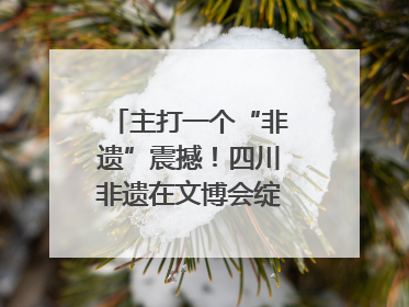 主打一个“非遗”震撼！四川非遗在文博会绽放时代光彩｜文博向“新”