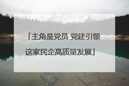 主角是党员 党建引领这家民企高质量发展