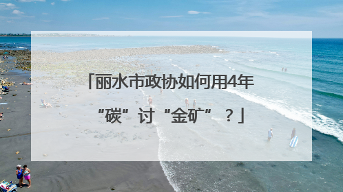 丽水市政协如何用4年“碳”讨“金矿”？