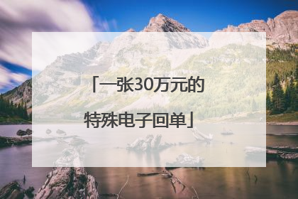 一张30万元的特殊电子回单