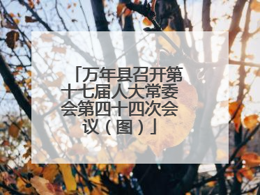 万年县召开第十七届人大常委会第四十四次会议（图）
