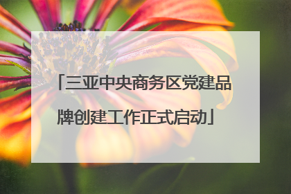 三亚中央商务区党建品牌创建工作正式启动