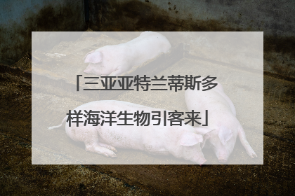 三亚亚特兰蒂斯多样海洋生物引客来