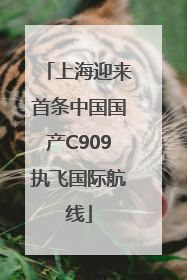 上海迎来首条中国国产C909执飞国际航线