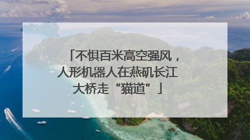 不惧百米高空强风，人形机器人在燕矶长江大桥走“猫道”