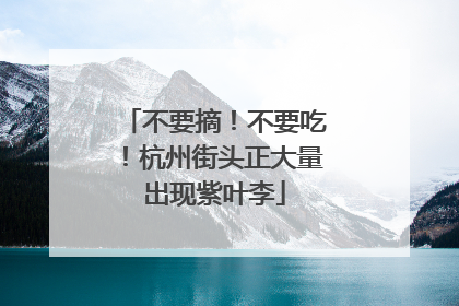 不要摘！不要吃！杭州街头正大量出现紫叶李
