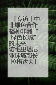 专访丨中非绿色合作播种非洲“绿色长城”的未来——访毛里塔尼亚环境部长拉格达夫