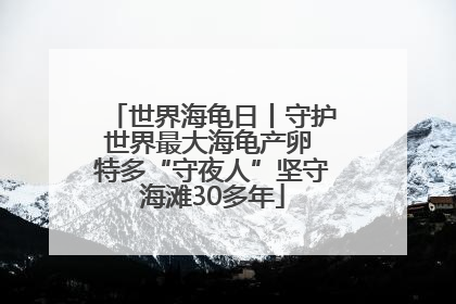 世界海龟日丨守护世界最大海龟产卵 特多“守夜人”坚守海滩30多年