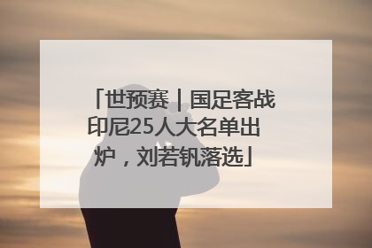 世预赛｜国足客战印尼25人大名单出炉，刘若钒落选