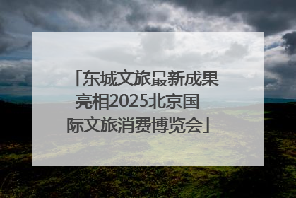 东城文旅最新成果亮相2025北京国际文旅消费博览会