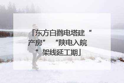 东方白鹳电塔建“产房” “陕电入皖”架线延工期
