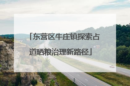 东营区牛庄镇探索占道晒粮治理新路径