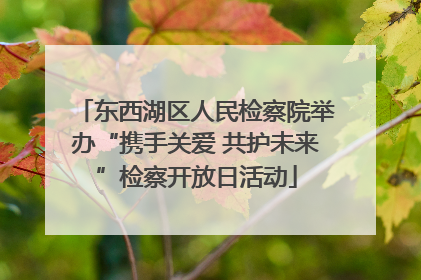 东西湖区人民检察院举办“携手关爱 共护未来”检察开放日活动