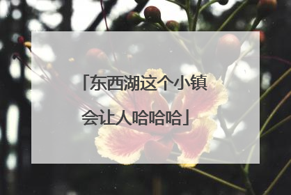 东西湖这个小镇会让人哈哈哈