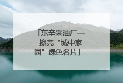 东辛采油厂——擦亮“城中家园”绿色名片
